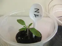 DSCF2071.webp
