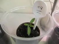DSCF2072.webp