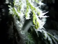 Kristalle6.webp