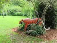 Tiger v.webp