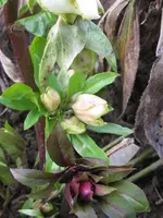012_576x768.webp