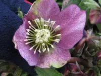 013_1024x768.webp