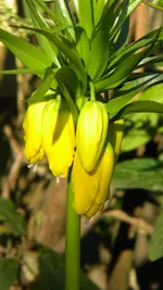 DSCN2179.webp