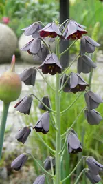 DSCN4621.webp