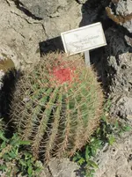 047.webp