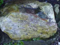 febr01 011.webp