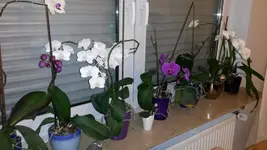2014-02-03 18.09.47.webp