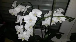 2014-02-03 18.10.06.webp