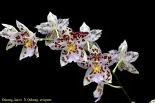 IMG_0763 - Kopie.webp