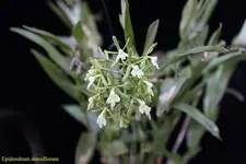 IMG_0766 - Kopie.webp
