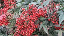 013.webp