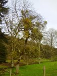 jan08 006.jpg