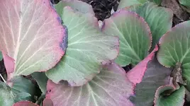 022.webp