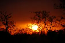DSC_3180.webp