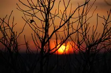 DSC_3267.webp