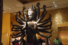 DSC_0420.webp