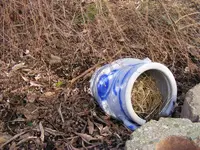 Käfertopf.webp