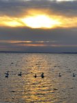 DSC_0117.jpg