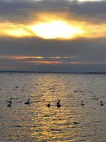 DSC_0117.webp