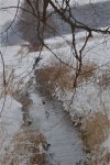 DSC_7372.jpg