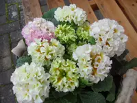 SAM_2915.webp