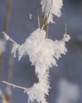 DSC_7434.jpg