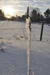 DSC_0553.jpg