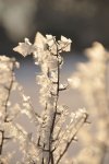 DSC_0564.jpg