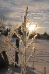 DSC_0568.jpg