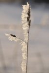 DSC_0555.jpg