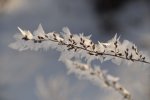 DSC_0570.jpg