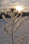 DSC_0573.jpg