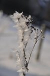 DSC_0584.jpg