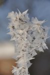 DSC_0589.jpg