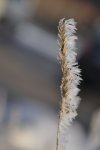 DSC_0591.jpg