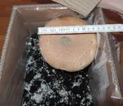 DSCN0046.2.webp