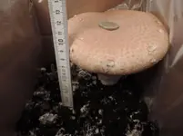DSCN0050.2.webp