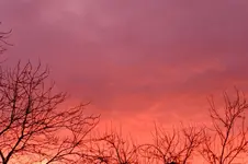Morgenrot_0002.webp