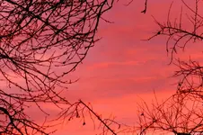 Morgenrot_0008.webp