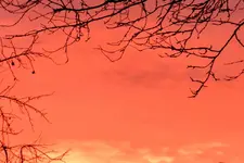 Morgenrot_0009.webp