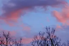 Morgenrot_0021.webp