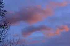 Morgenrot_0029.webp
