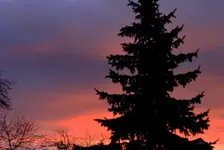Morgenrot_0032.webp