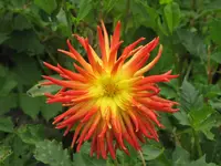 276.webp
