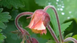 DSCN2572.webp