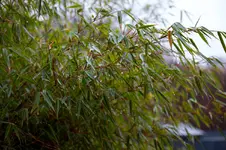 IMG_5378-1.webp