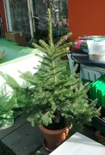 DSCN0092.2.webp