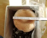 DSCN0098.2.webp