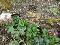 CIMG4912.webp