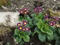 CIMG4913.webp